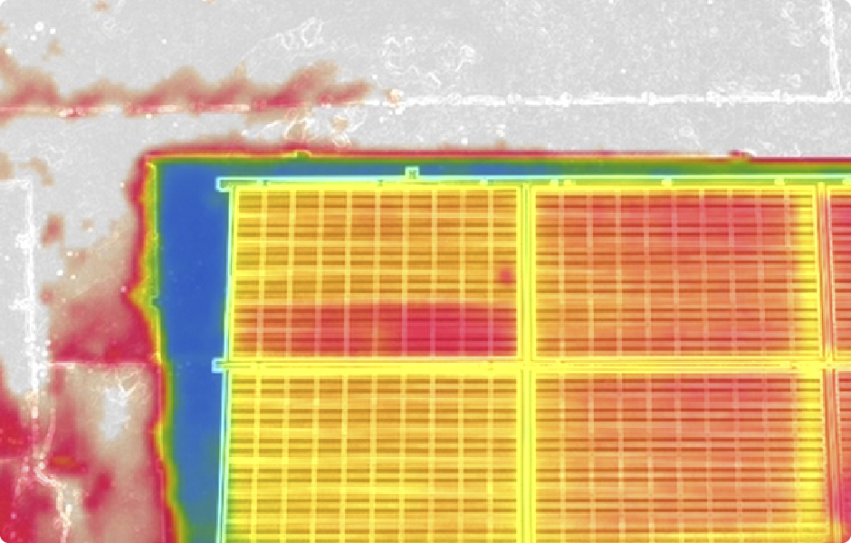 サーモグラフィー画像