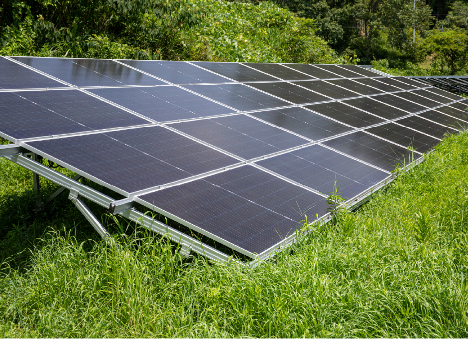 太陽光パネルの周りに雑草が生茂る写真